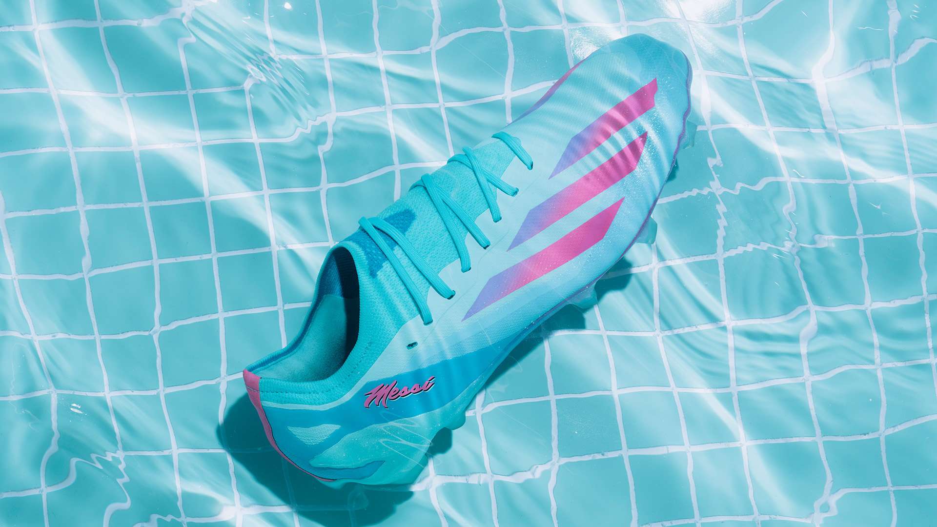 觀看的球迷 觀看的球迷